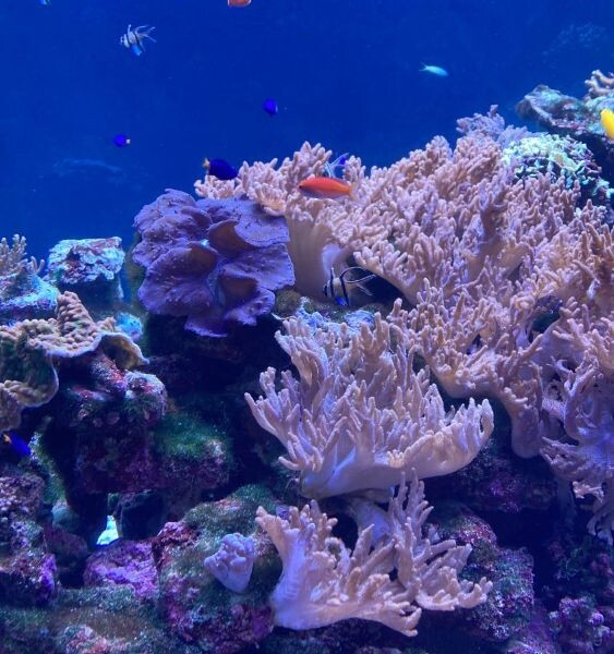 サンシャイン水族館