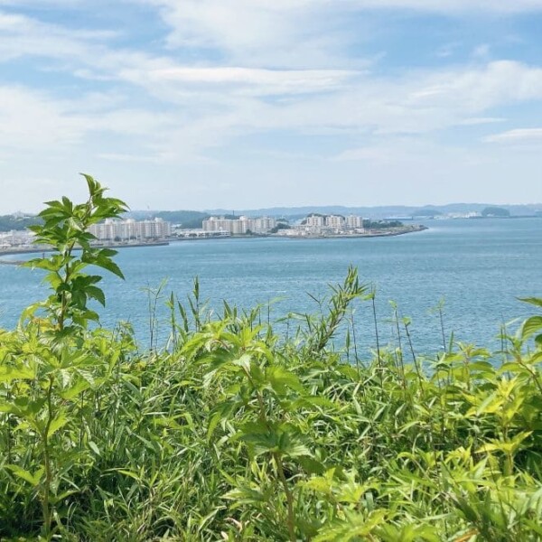 島から外を見た風景