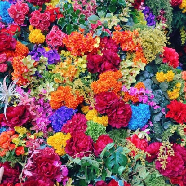 アーチを近くで　一面の花が最高