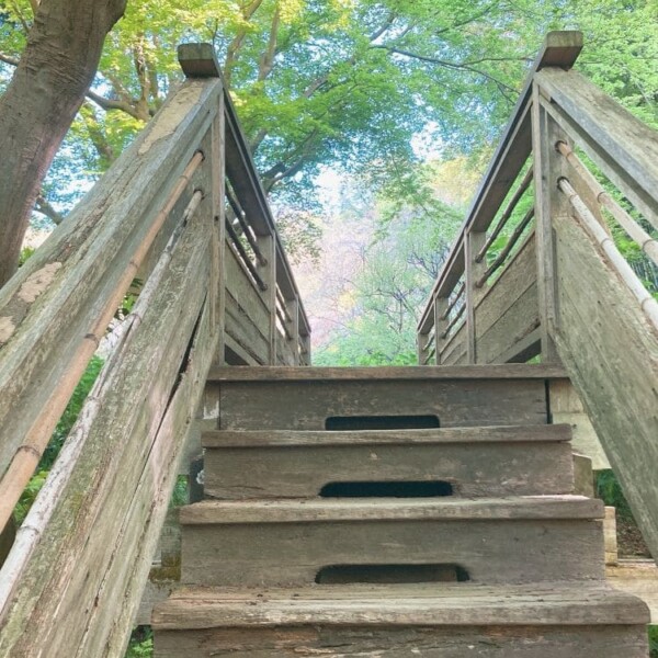 どこかの階段　美しかったので